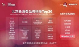 九号新品最新爆料图,揭秘最新爆料图中的科技魅力与设计突破”